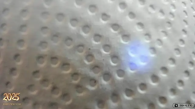 Snapshot of Sali_g chatting on 12-31-24, 01:08 Sali g online show from 12-31-24, 01:08