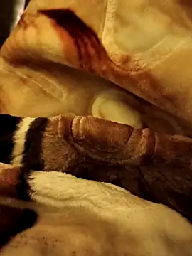 Snapshot of yhona_darling chatting on 12-16-25, 05:18 yhona darling online show from 12-16-25, 05:18