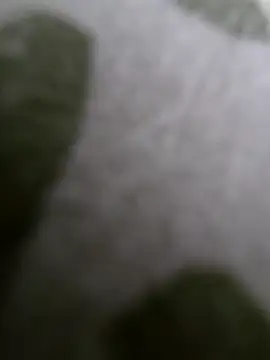 hungarian dick online show from 05-11-26, 01:17