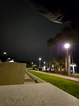 charlye inkkkk online show from 02-28-26, 11:39