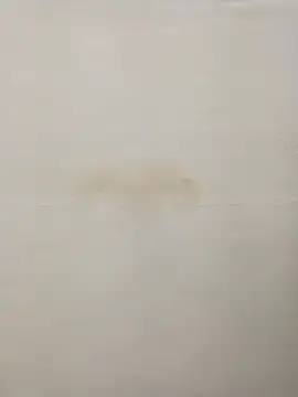 Snapshot of Rina777o chatting on 12-30-24, 08:36 Rina777o online show from 12-30-24, 08:36