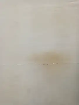 Snapshot of Rina777o chatting on 03-07-25, 06:11 Rina777o online show from 03-07-25, 06:11