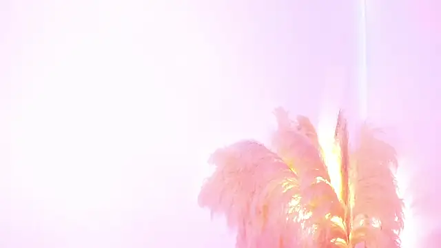 amelie murphy  online show from 02-02-25, 05:04