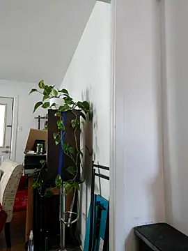 Snapshot of QcMisterv13 chatting on 09-30-25, 02:22 QcMisterv13 online show from 09-30-25, 02:22