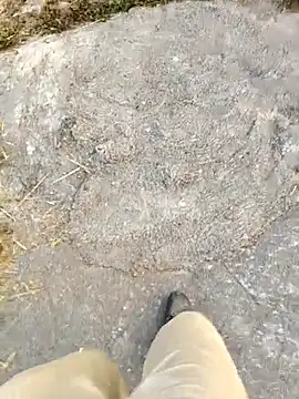 Ishan003 online show from 02-05-26, 01:32