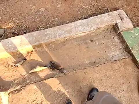 Ishan003 online show from 02-15-26, 10:36