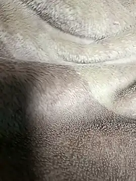 AssamSilchar93 online show from 01-20-25, 05:27