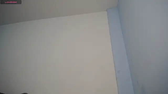  lidharaa online show from 10-08-25, 12:41