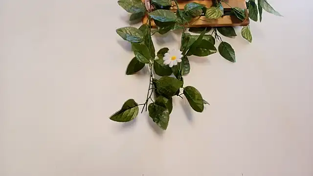 Snapshot of mss_samy chatting on 02-13-26, 03:13 mss samy online show from 02-13-26, 03:13