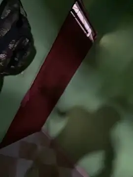 Alphadavid 23 online show from 02-26-25, 07:16