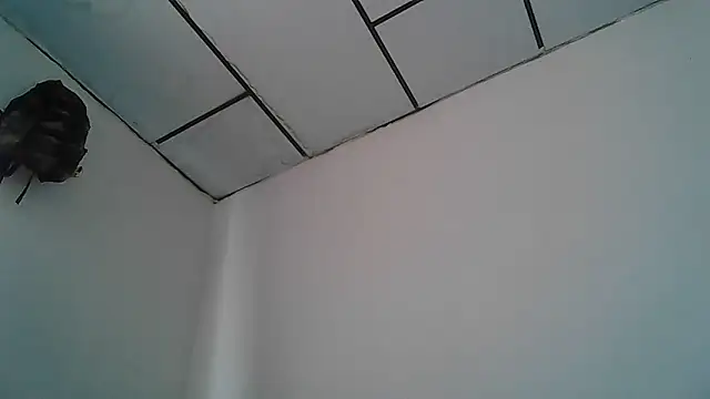 Alphadavid 23 online show from 04-30-26, 04:02