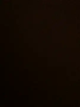 Snapshot of Lona_Lina chatting on 01-19-25, 12:28 Lona Lina online show from 01-19-25, 12:28