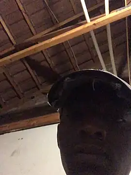 thekidrose online show from 12-02-25, 05:35