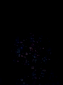 VyingAviary online show from 12-20-24, 12:38