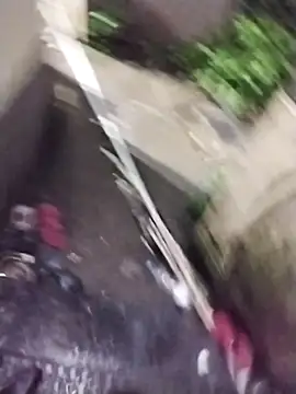 Alokraj373990 online show from 11-01-25, 07:16