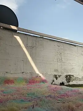 Snapshot of suzanelee chatting on 03-10-25, 02:05 suzanelee online show from 03-10-25, 02:05