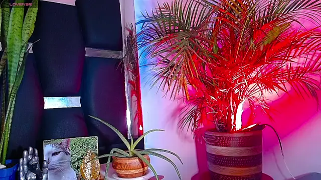 RyanRizzo online show from 01-22-25, 07:24