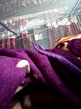 Snapshot of 900irani chatting on 12-17-24, 12:12 900irani online show from 12-17-24, 12:12