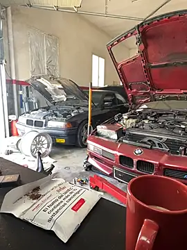 Snapshot of donnuozfutura chatting on 02-26-25, 10:58 donnuozfutura online show from 02-26-25, 10:58