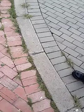 Snapshot of sophie_banger chatting on 11-18-25, 04:33 sophie banger online show from 11-18-25, 04:33