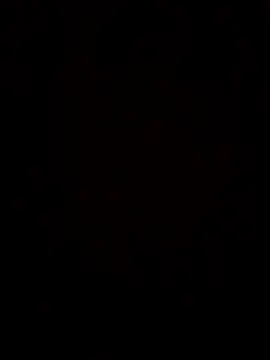 maripah online show from 07-22-26, 12:57