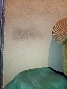 Snapshot of Thickcockzivyy chatting on 02-20-26, 12:40 Thickcockzivyy online show from 02-20-26, 12:40