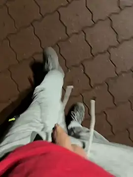 Snapshot of rundum40 chatting on 01-24-25, 07:49 rundum40 online show from 01-24-25, 07:49