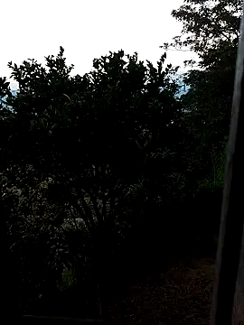 AuroraBon online show from 12-10-24, 11:22