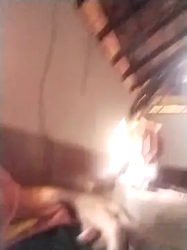 rajshank online show from 12-29-24, 10:01