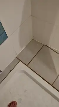 Snapshot of Ariete80s chatting on 02-21-25, 03:32 Ariete80s online show from 02-21-25, 03:32