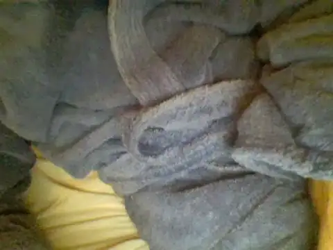 Snapshot of Ariete80s chatting on 02-23-25, 06:56 Ariete80s online show from 02-23-25, 06:56