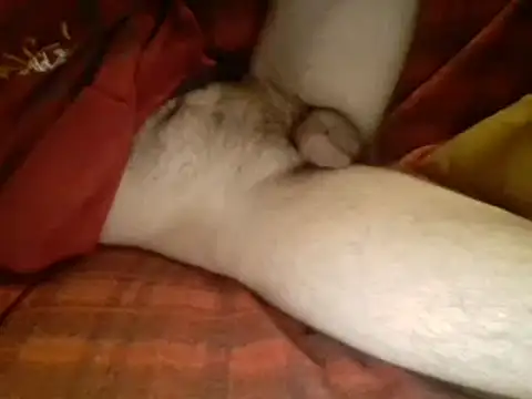 Snapshot of Ariete80s chatting on 03-10-25, 06:16 Ariete80s online show from 03-10-25, 06:16