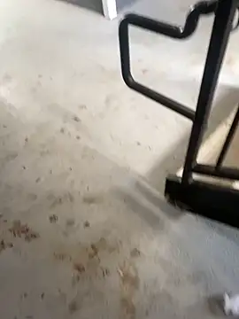 Snapshot of zeekBbc chatting on 02-26-26, 09:25 zeekBbc online show from 02-26-26, 09:25