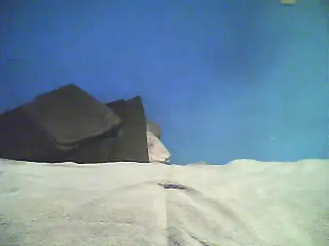 Snapshot of Vago745 chatting on 12-02-24, 10:50 Vago745 online show from 12-02-24, 10:50