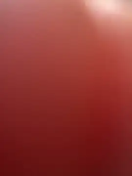 portugadopau online show from 09-10-25, 04:07