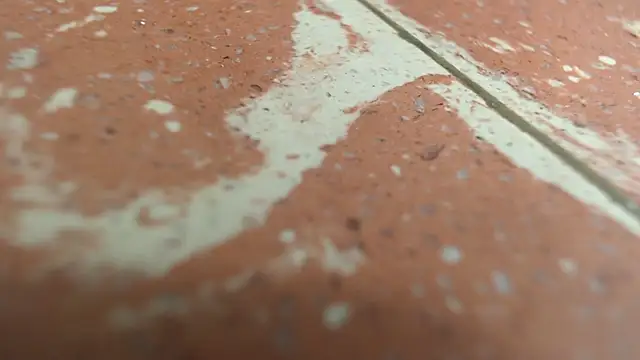 Snapshot of isabella_jazz chatting on 09-20-25, 03:24 isabella jazz online show from 09-20-25, 03:24