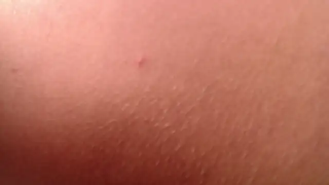 Snapshot of isabella_jazz chatting on 01-07-26, 04:20 isabella jazz online show from 01-07-26, 04:20