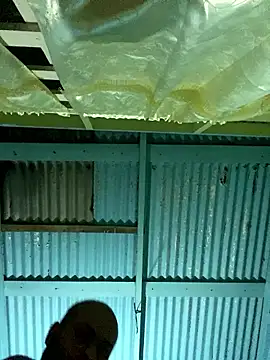 islandvybee55 online show from 01-12-26, 07:24