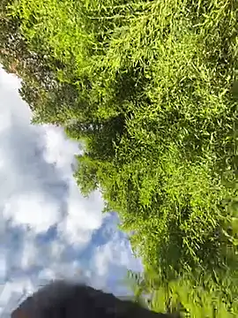 VioletaSubmissive online show from 04-20-26, 10:11