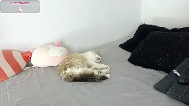 SophieBaker   online show from 05-02-26, 02:16