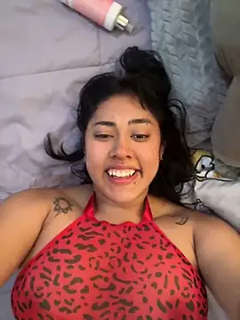 pawmistry online show from 04-08-26, 03:34