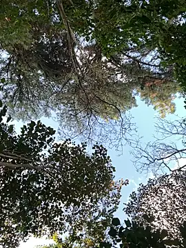 Snapshot of _PhillipBrown chatting on 09-10-25, 11:32 PhillipBrown online show from 09-10-25, 11:32