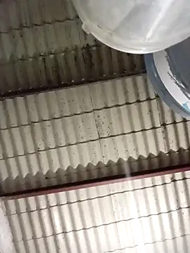 Snapshot of strip_1212 chatting on 03-08-26, 02:04 strip 1212 online show from 03-08-26, 02:04