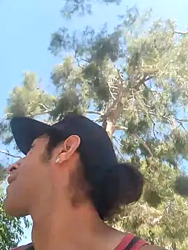 LargeDominoes online show from 04-29-26, 08:59