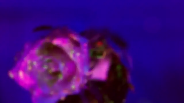 Snapshot of HeyBananas chatting on 01-18-26, 07:28 HeyBananas online show from 01-18-26, 07:28