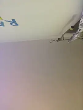 Snapshot of Meliss_Official9 chatting on 10-27-25, 08:46 Meliss Official9 online show from 10-27-25, 08:46