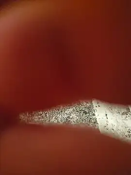 Snapshot of Warumnicht1980 chatting on 11-13-25, 07:35 Warumnicht1980 online show from 11-13-25, 07:35