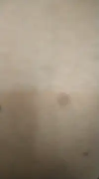 rohitlov150 online show from 02-13-25, 11:50