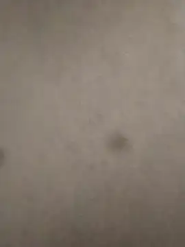 rohitlov150 online show from 02-23-25, 06:12