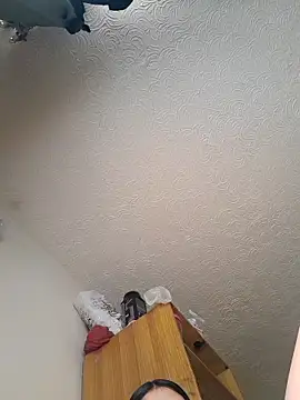 Snapshot of Sweel_Leyva18 chatting on 11-14-25, 01:43 Sweel Leyva18 online show from 11-14-25, 01:43